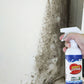 Spray anti-moisissures pour murs