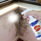 Spray anti-moisissures pour murs