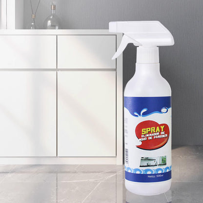 Spray anti-moisissures pour murs