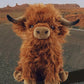 (🎁Vente chaude de Noël 2023🎁)🐂Jouet en peluche doux et écologique en forme de vache des Highlands écossaises